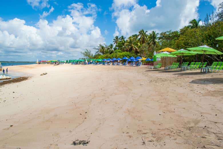 Espreguiçadeiras na praia de Ferradura, na ilha de Santo Aleixo