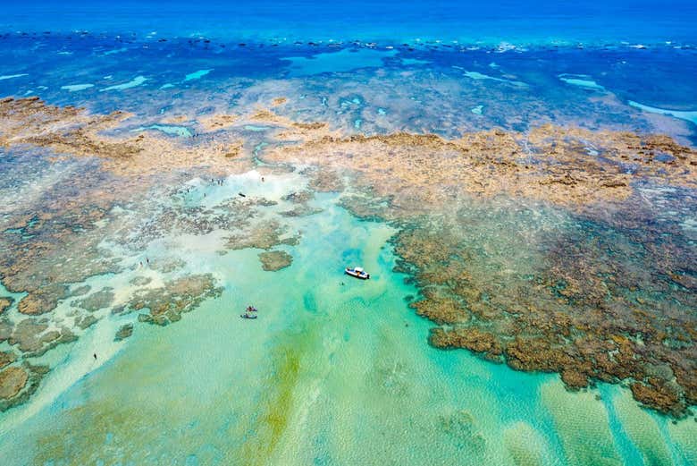 Vue panoramique sur les piscines naturelles
