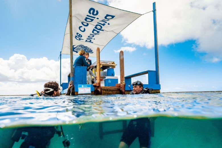 Visitaremos un laboratorio flotante