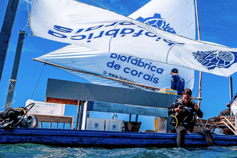 El laboratorio flotante en Poro Galinhas