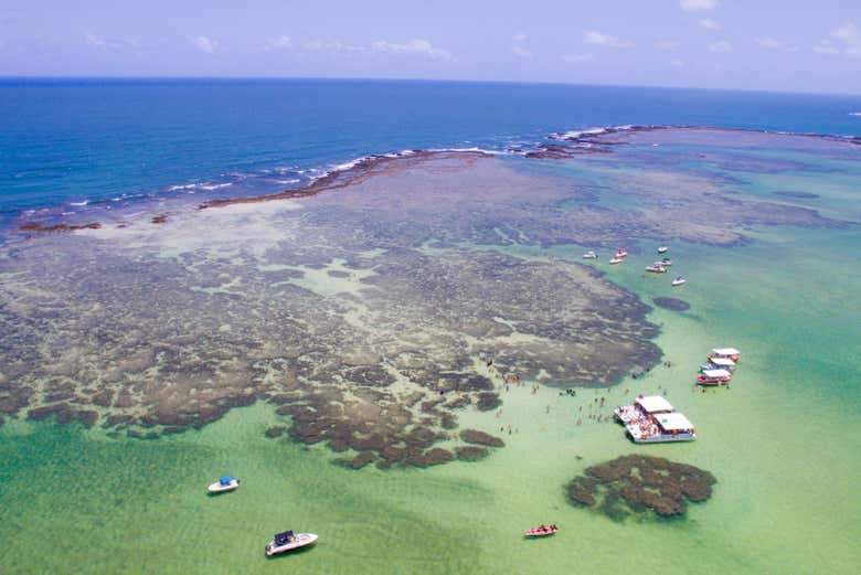 Águas cristalinas da praia de Maragogi