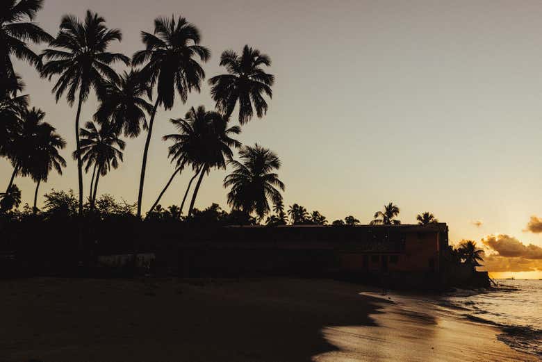 Pôr do sol em Maragogi