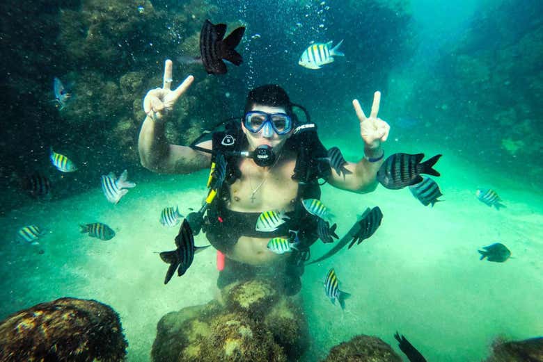 Discover an underwater world filled with life