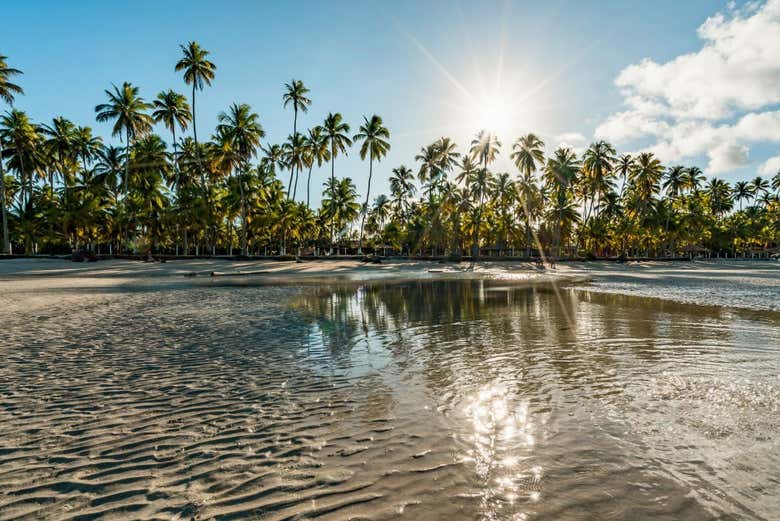 ¡Bienvenidos al paraíso!