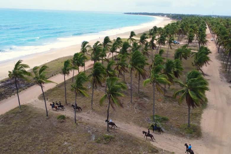 A impressionante paisagem que circunda a praia de Maracaípe