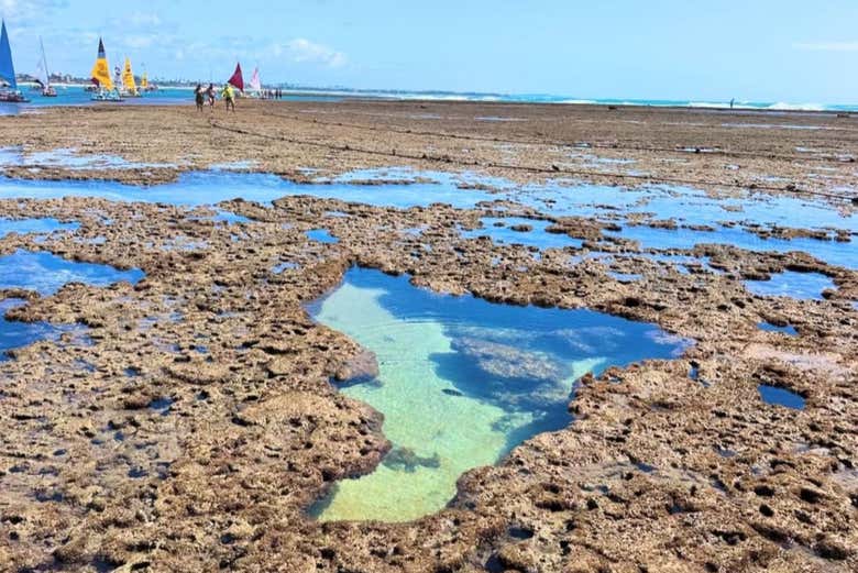 See the natural beauty of Porto de Galinhas
