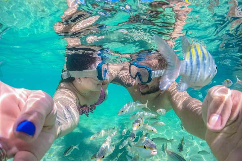 Snorkel among tropical fish