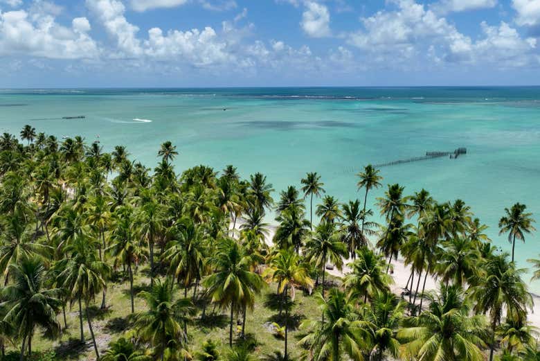 Paisajes de Maragogi