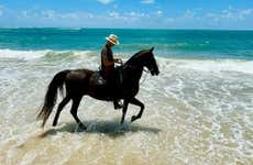 Passeio a cavalo pela praia de Maracaipe