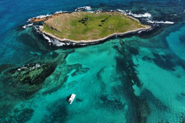 Day Trip to Marino de Abrolhos National Park