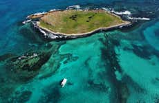 Day Trip to Marino de Abrolhos National Park