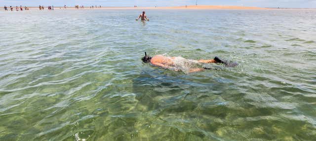 Excursão ao Parque Marinho da Coroa Alta