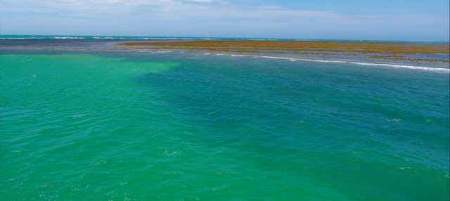 Excursão ao parque Marinho do Recife de Fora