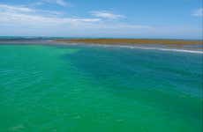 Escursione al Parco marino Recife de Fora