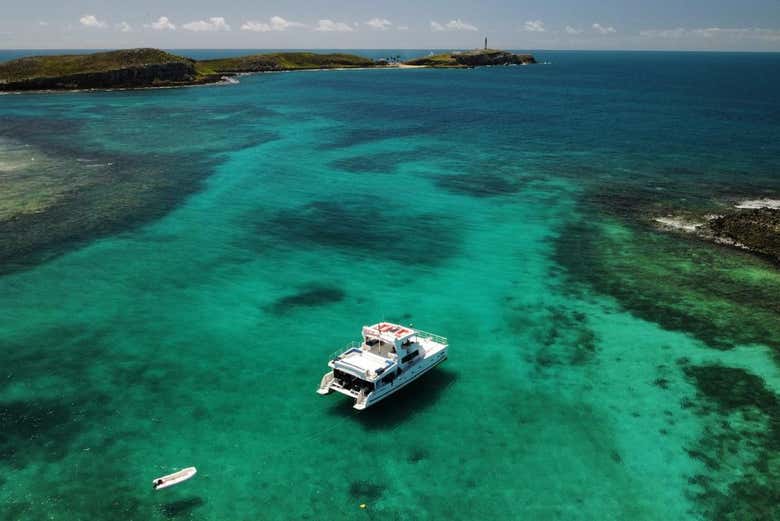 Surcando las aguas de Abrolhos
