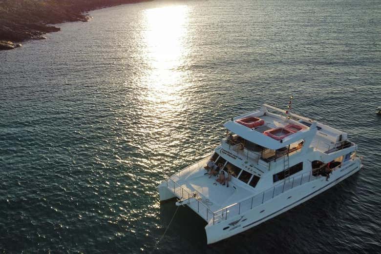 Navegaremos en catamarán hacia Abrolhos