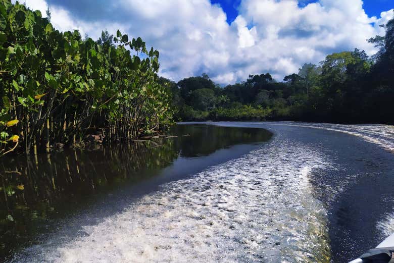 Canales del río João de Tiba