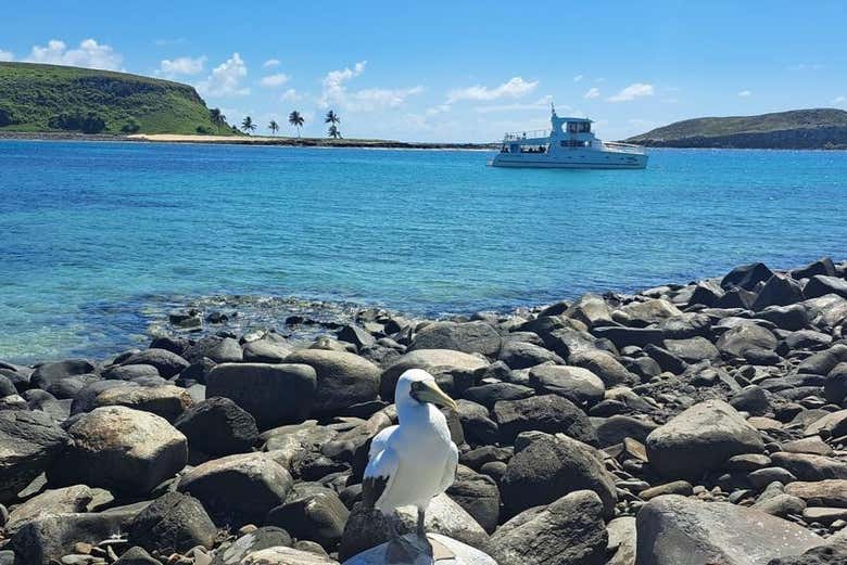 Relax on an idyllic beach for the day