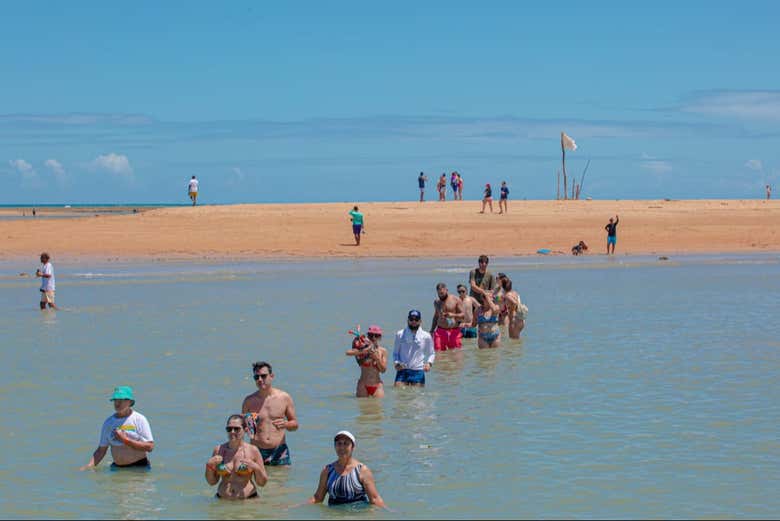 Parque Marinho da Coroa Alta