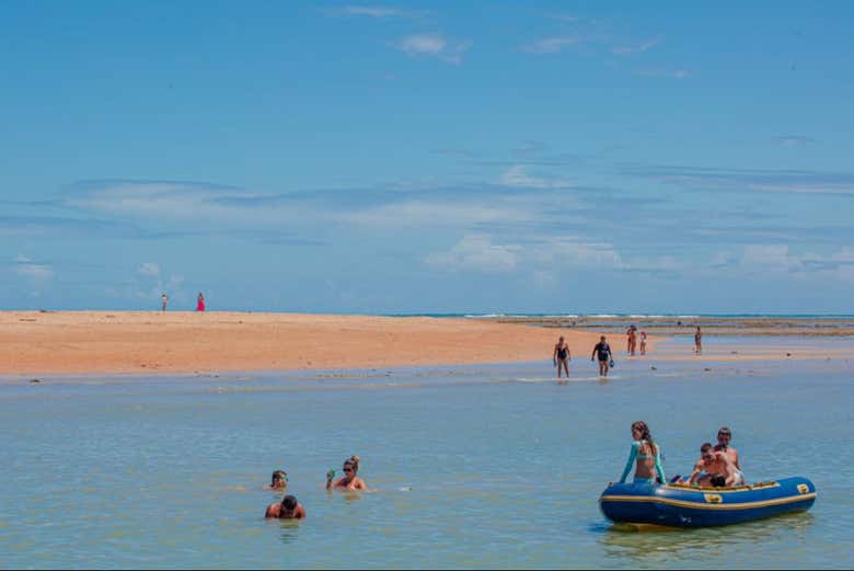 Você pode nadar próximo aos bancos de areia de Coroa Alta