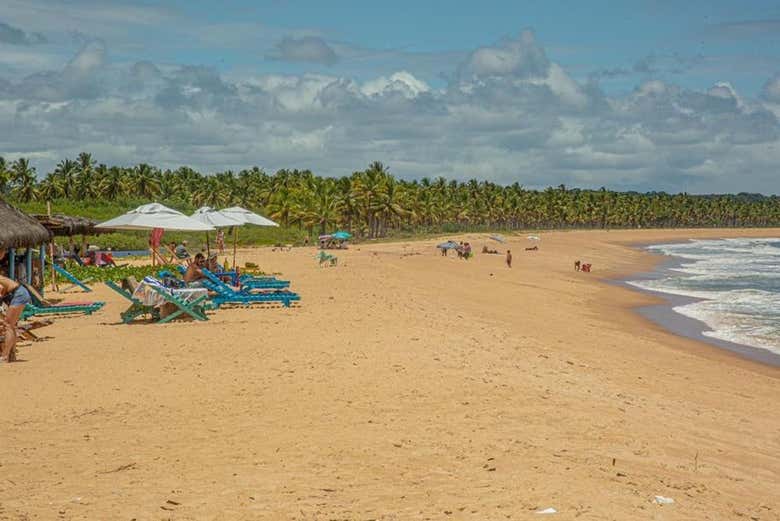 Descansando na margem da praia