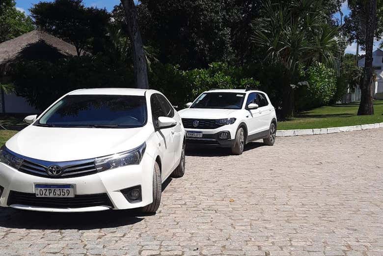 Carros para o transporte