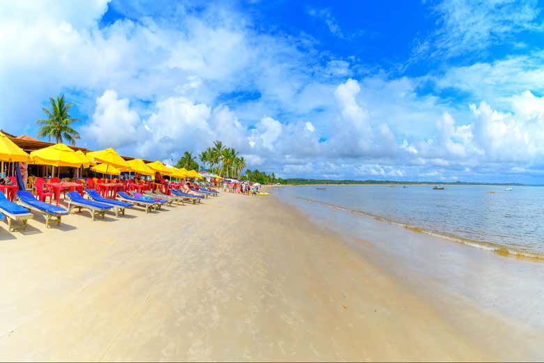 Tumbonas en la playa de Coroa Vermelha