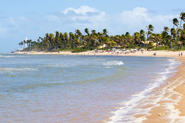 Praia do Lord