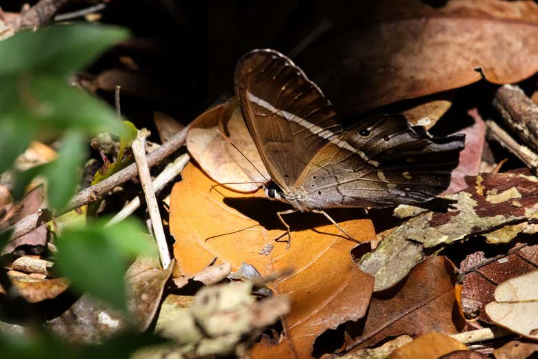 Reserva Sapiranga