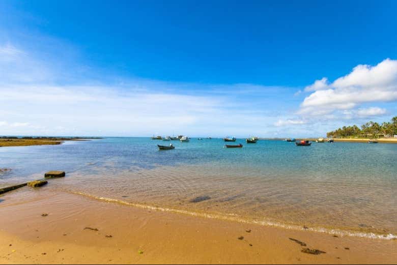 Playa de aguas poco profundas en Praia do Forte
