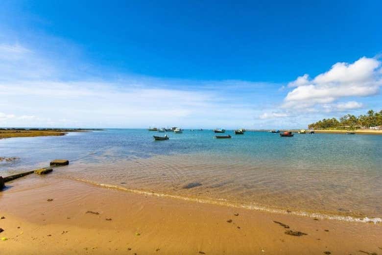Playa de Praia do Forte