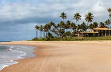 Tour por Praia do Forte y Guarajuba