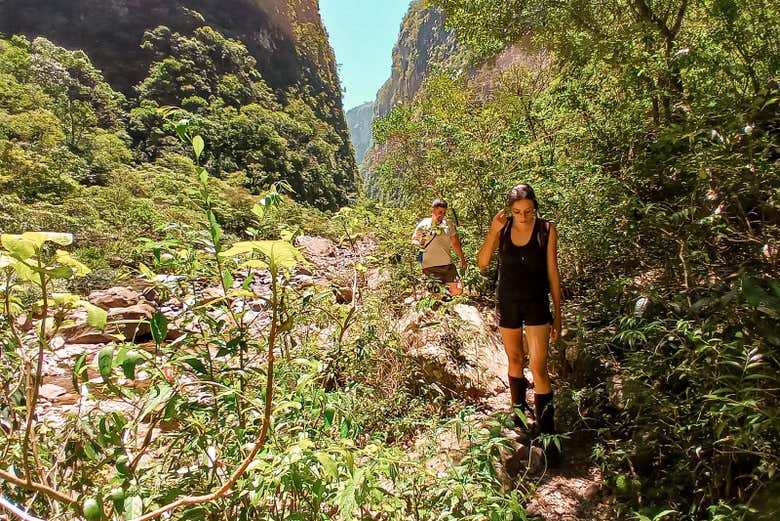 Walking along one of the trails on the route