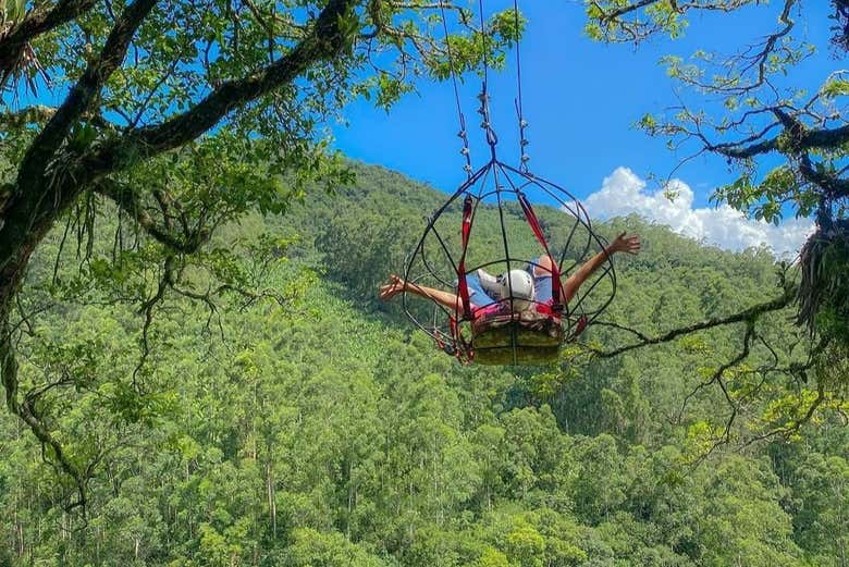 Swing above the treeline