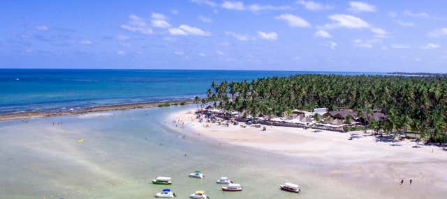 Excursão à praia dos Carneiros