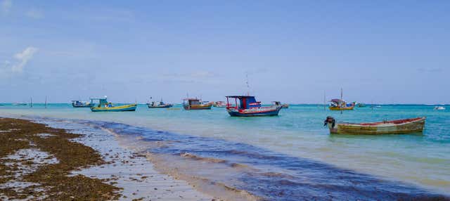 Excursión a la playa de São José da Coroa Grande