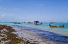 Excursão à praia de São José da Coroa Grande