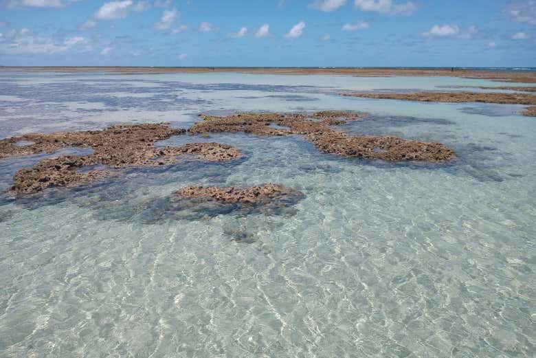 A água transparente de São José da Coroa Grande