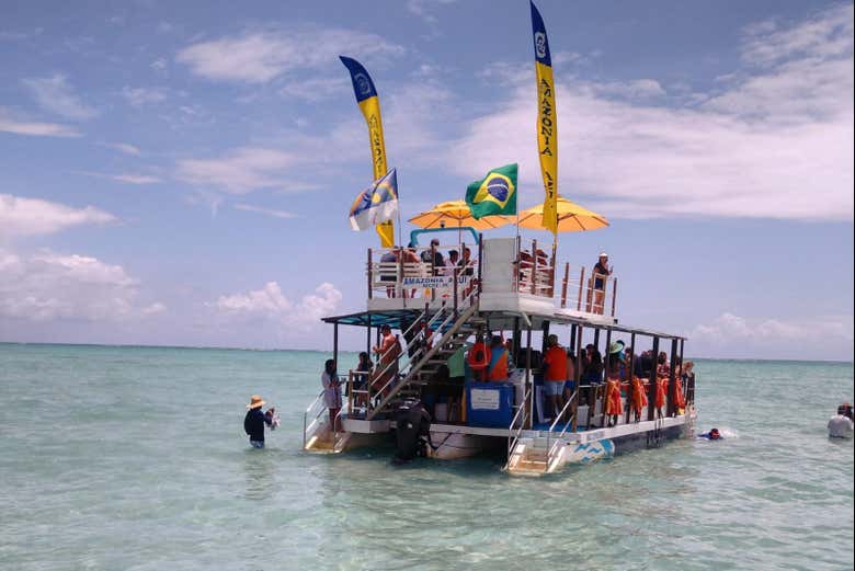 Você quer dar um mergulho?