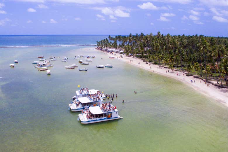 Catamarãs na praia dos Carneiros