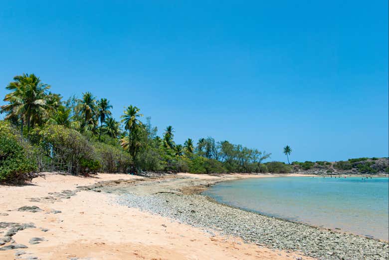 Você está preparado para descobrir a ilha de Santo Aleixo?
