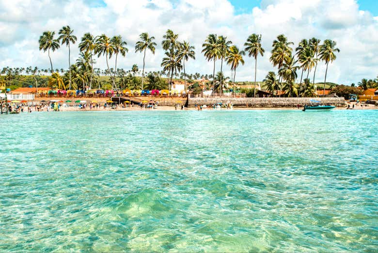 ¡Bienvenidos al paraíso de Maragogi!