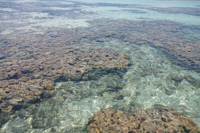 Piscinas naturais de São José da Coroa Grande
