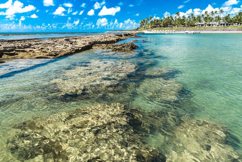 Porto de Galinhas