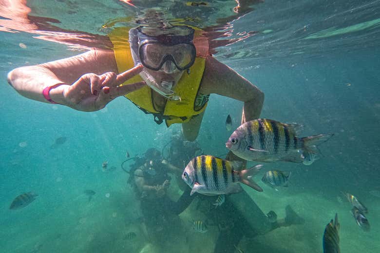 Practicando snorkel en Maragogi