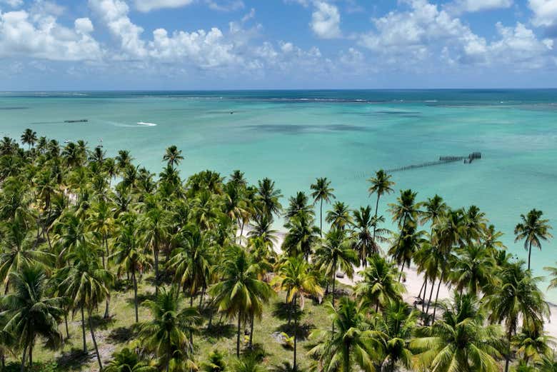 Paisajes de Maragogi