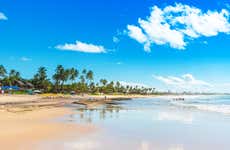 Tour por Recife y sus playas