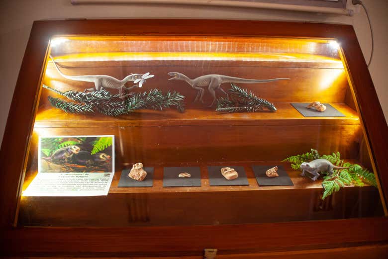 Informações no Centro