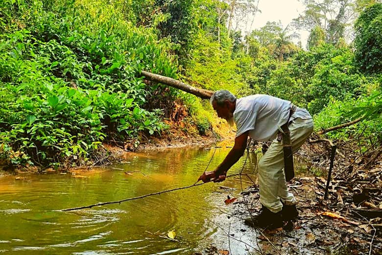 Un riachuelo de la zona