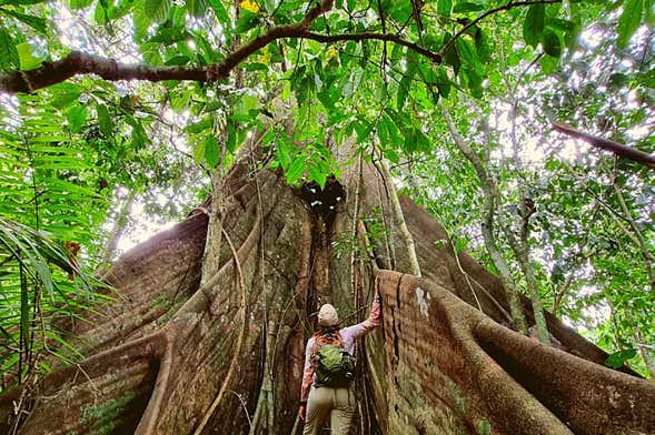 Senderismo por la colonia Luau